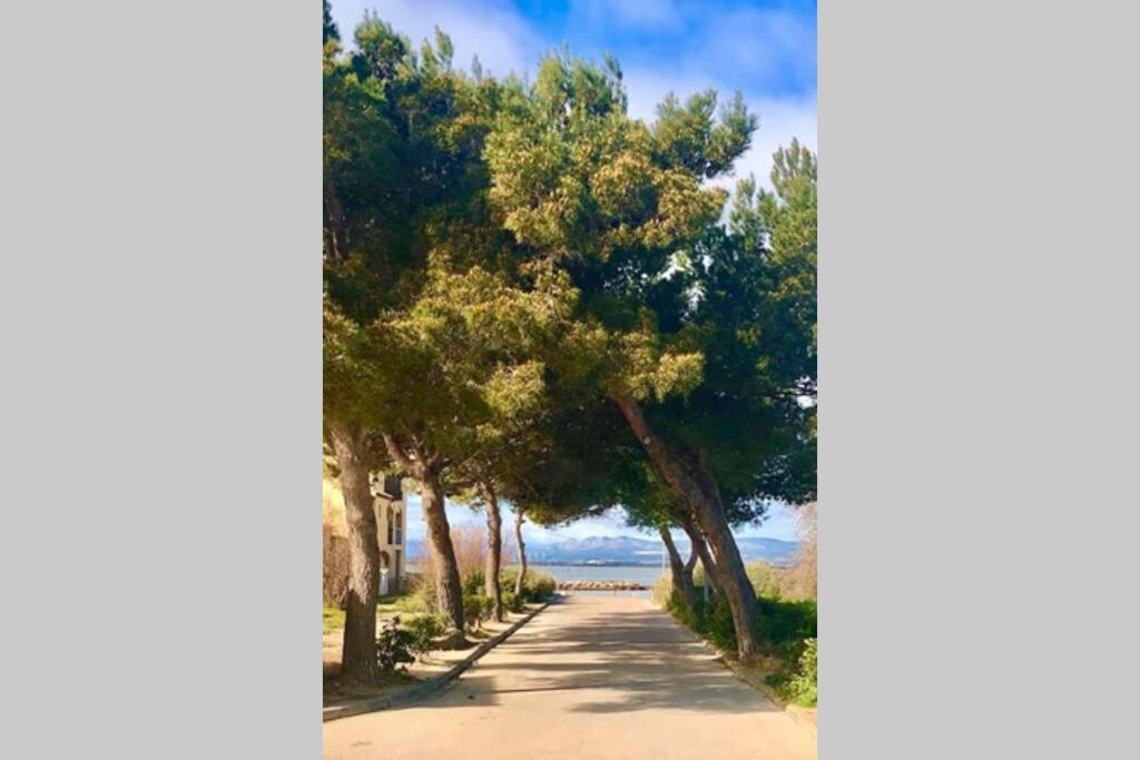 Barcaresa-Villa Sur Le Sable Vue Mer Panoramique Piscine Clim Wifi Ле Баркарес Экстерьер фото